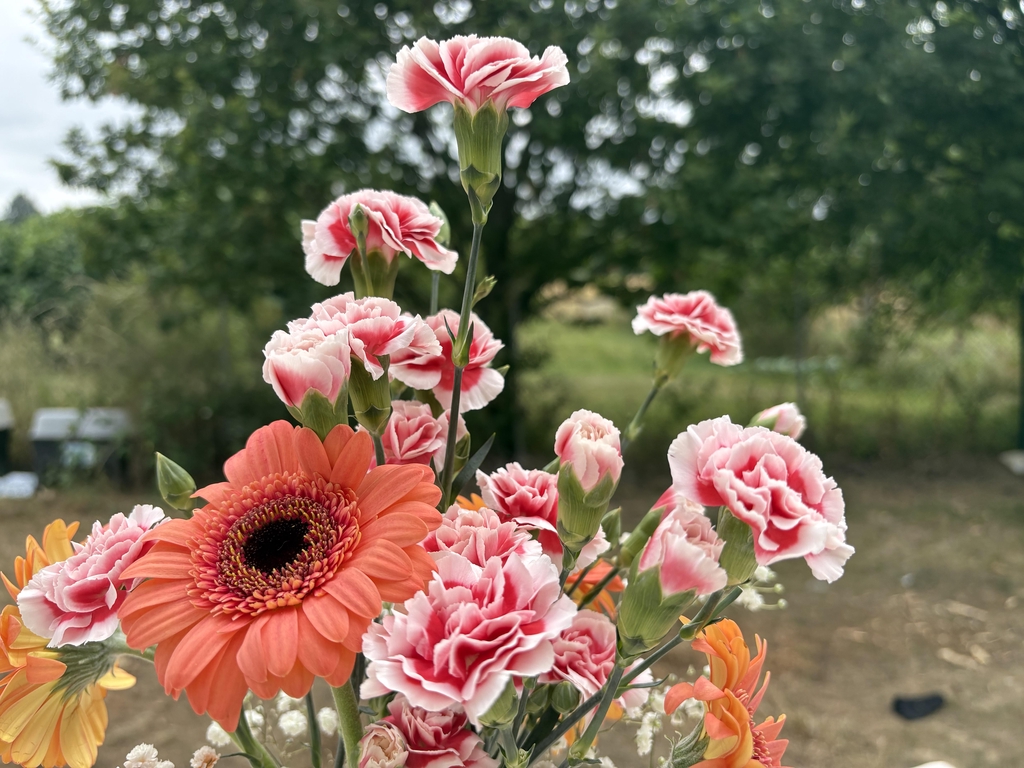 banner_image