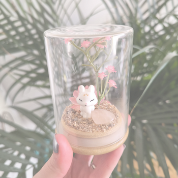 Terrariums