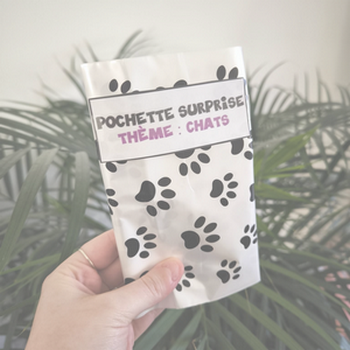 Pochettes surprises