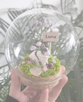 product_list_image_cover