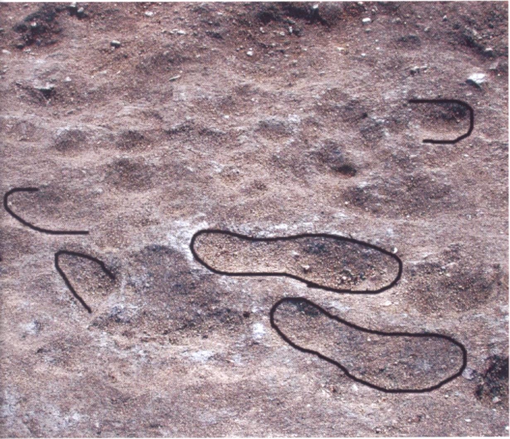 KAUPANG VIKINGBYEN