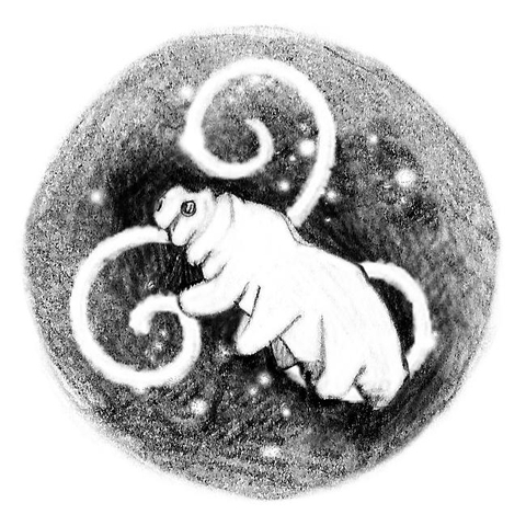 Boutique Éditions Les Tardigrades