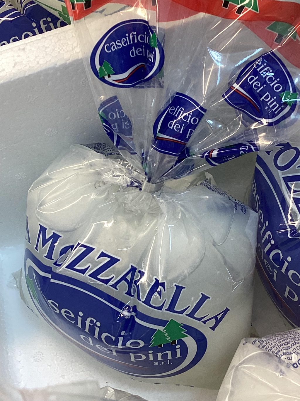 Mozzarella di bufala campana 