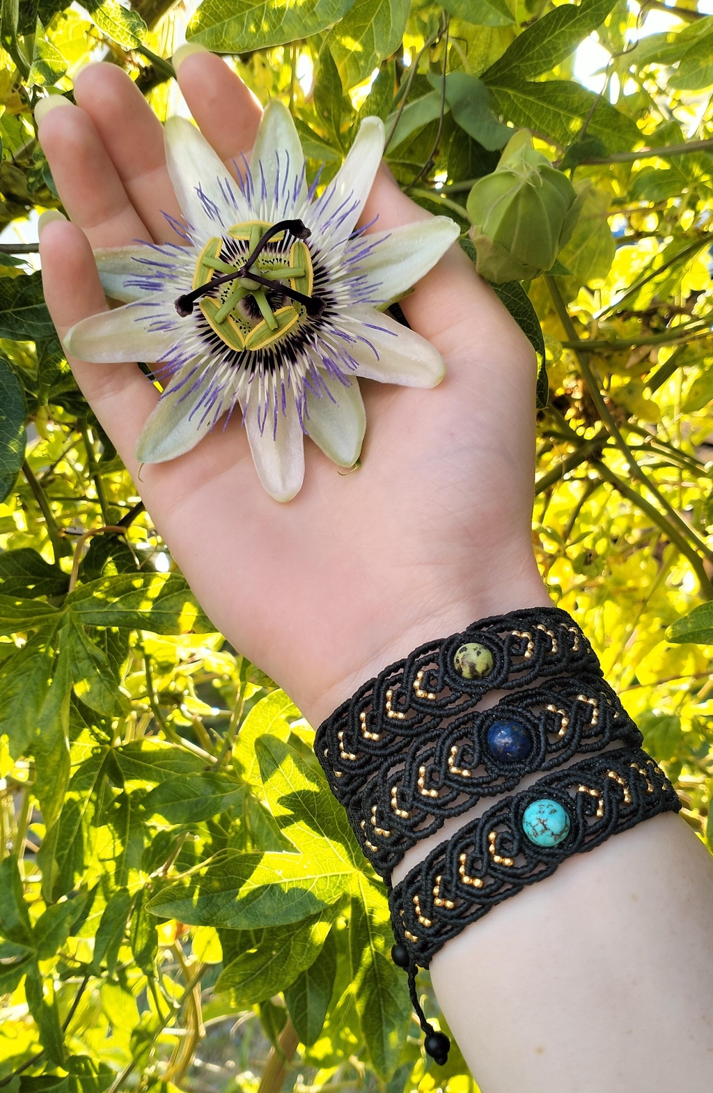 banner_image
