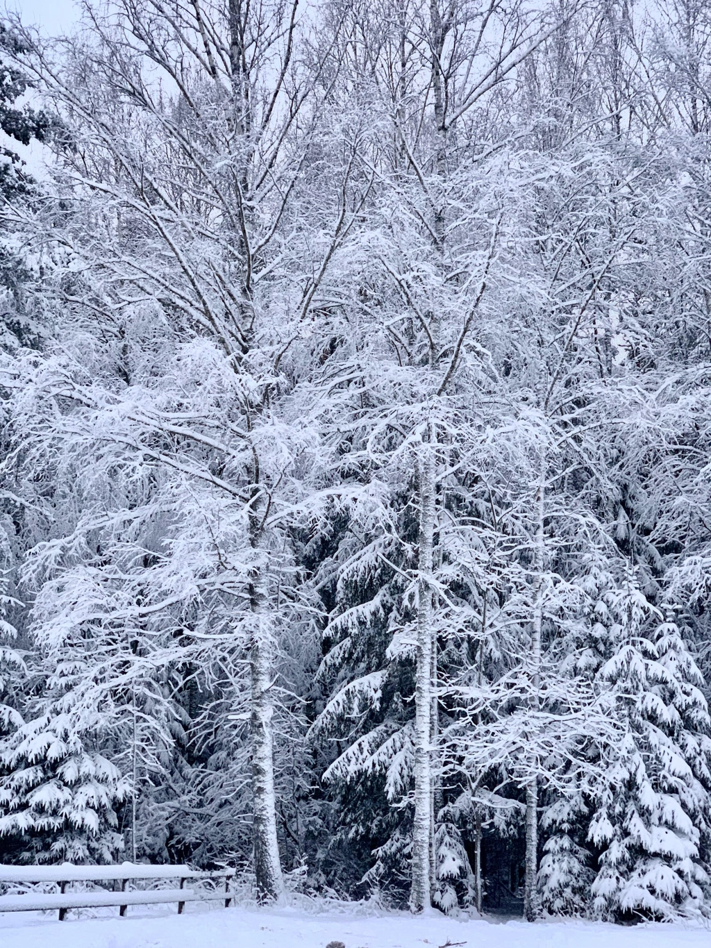 product_list_image_cover