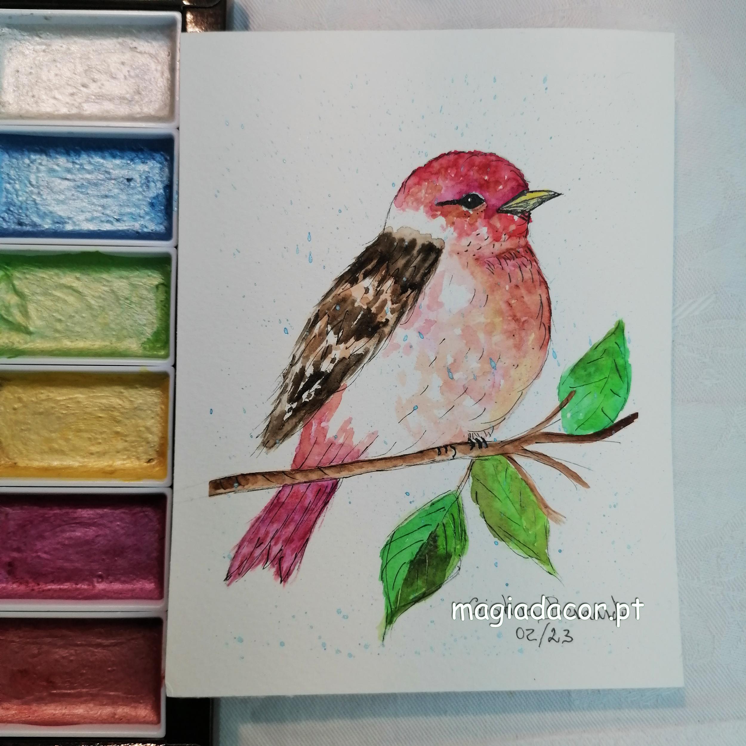 Pintura Aguarela