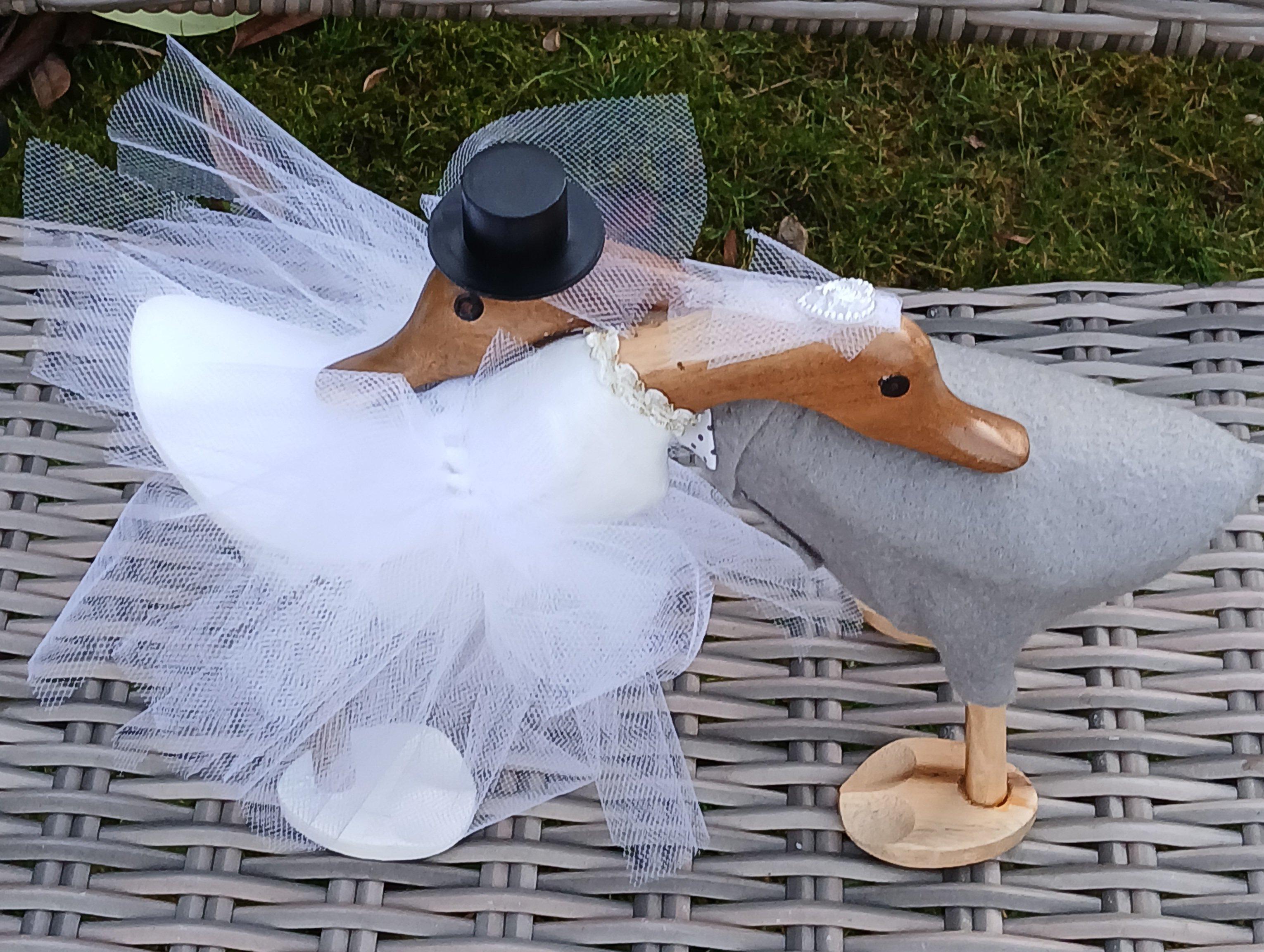 novelty duck themed occasion gifts