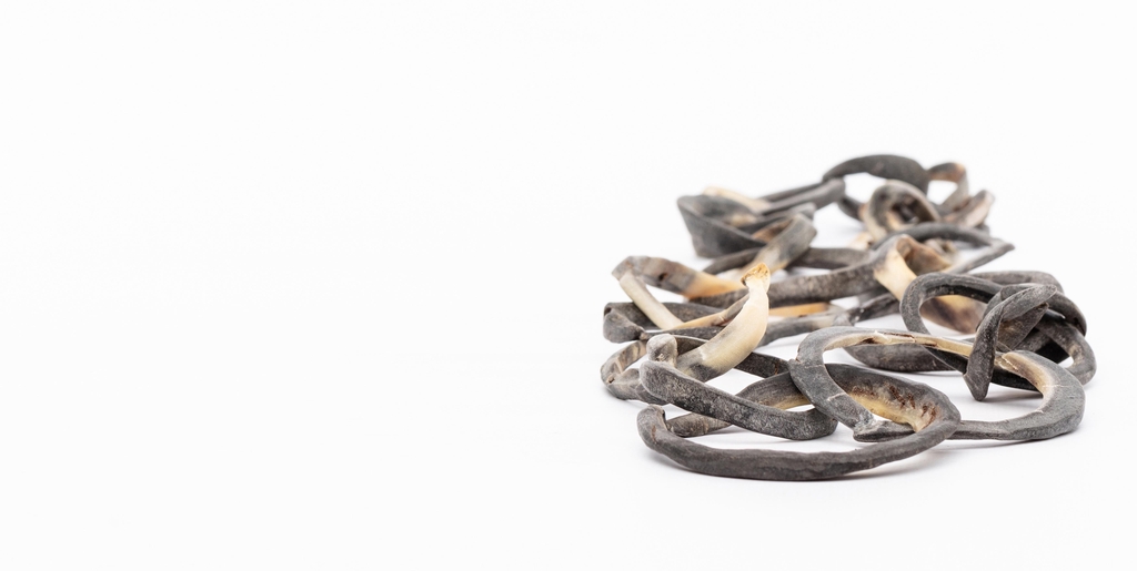 Ethica Jewellery, jewellery made from horses hoof trimmings.