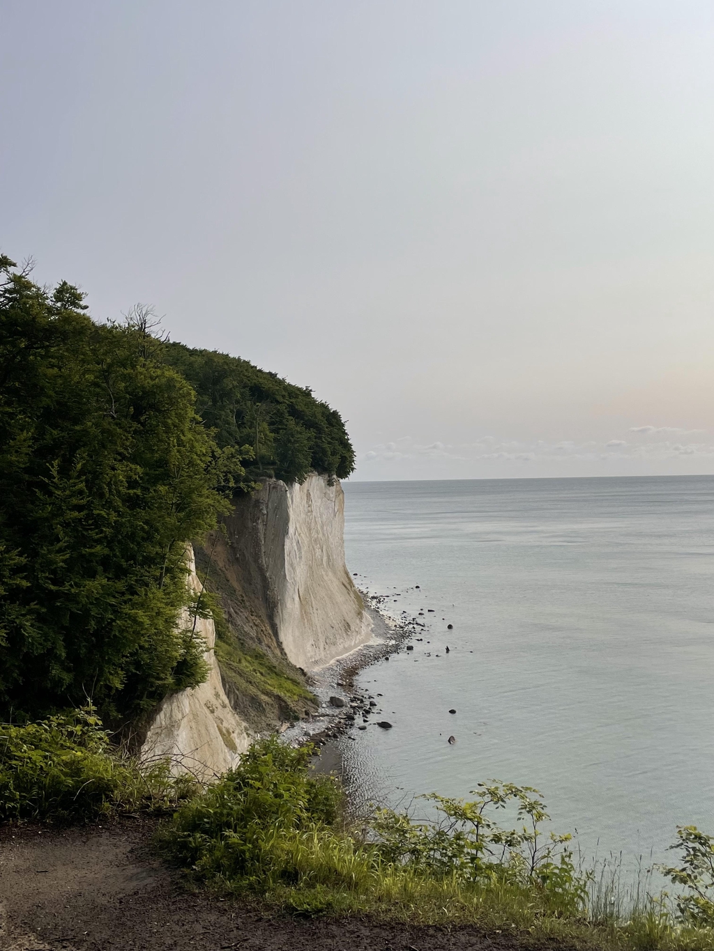 banner_image