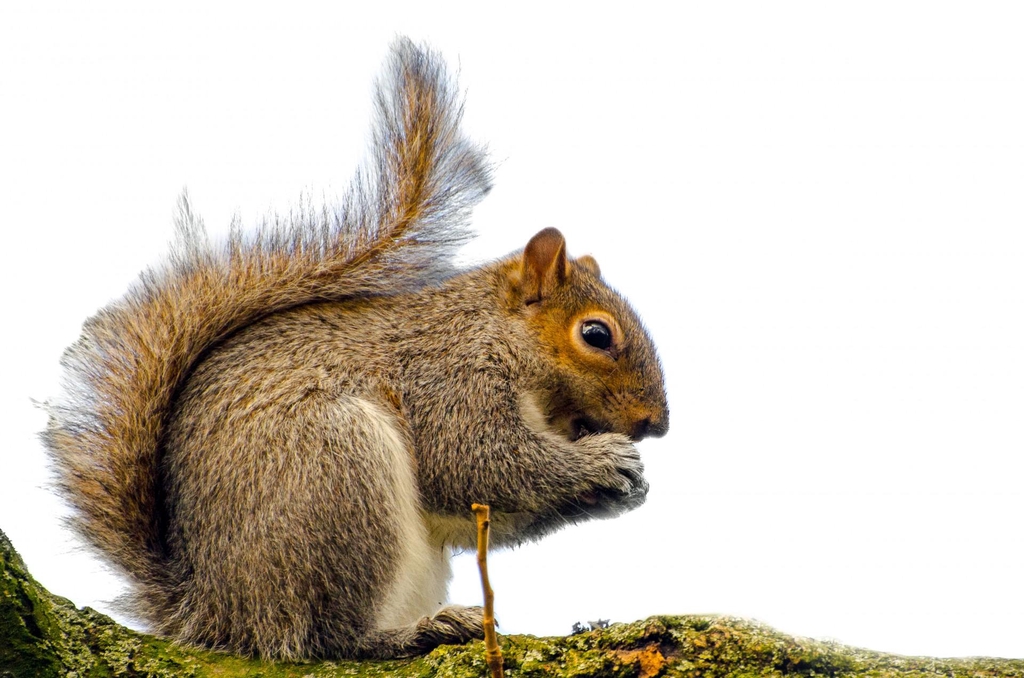 HERFST - aanbiedingen