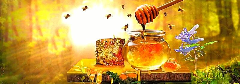 Tervetuloa KansallisHunajan
         Verkkokauppaan