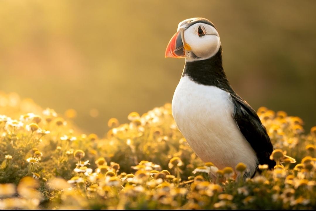 Anwen Whitehead Photography 