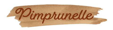 Logo Pimprunelle