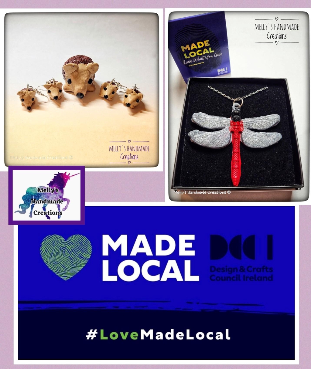 Design and Craft Council Ireland