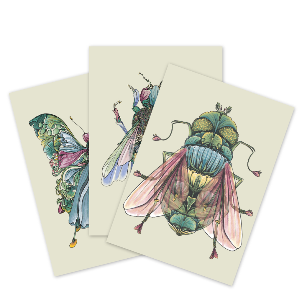 product_list_image_cover