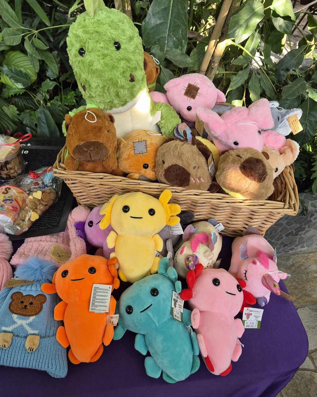 Leuke en betaalbare knuffels 