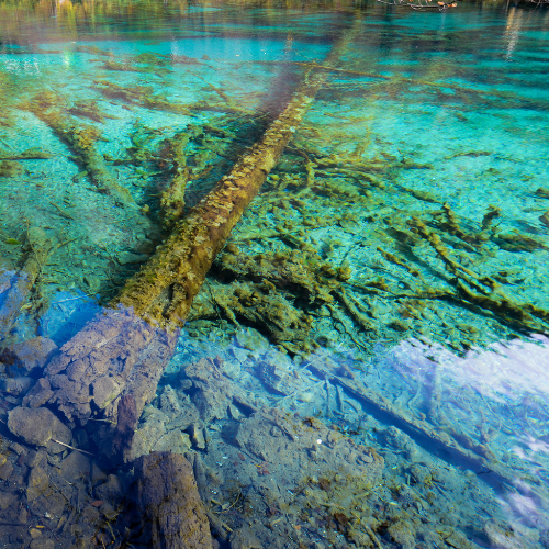 product_list_image_cover