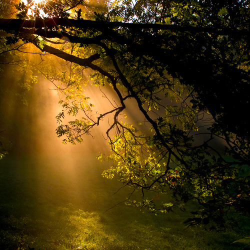 product_list_image_cover