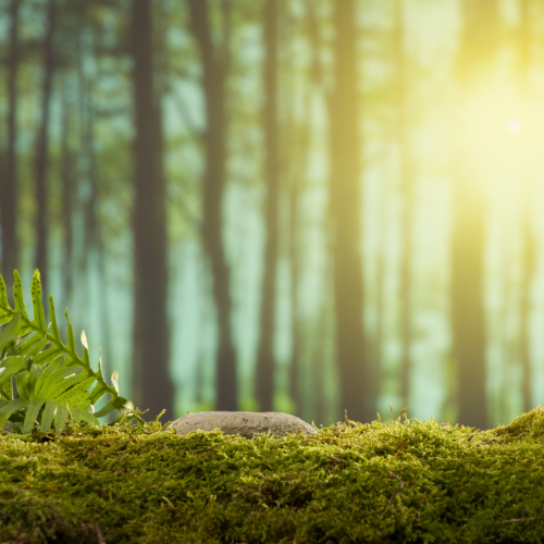 product_list_image_cover