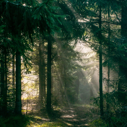 product_list_image_cover