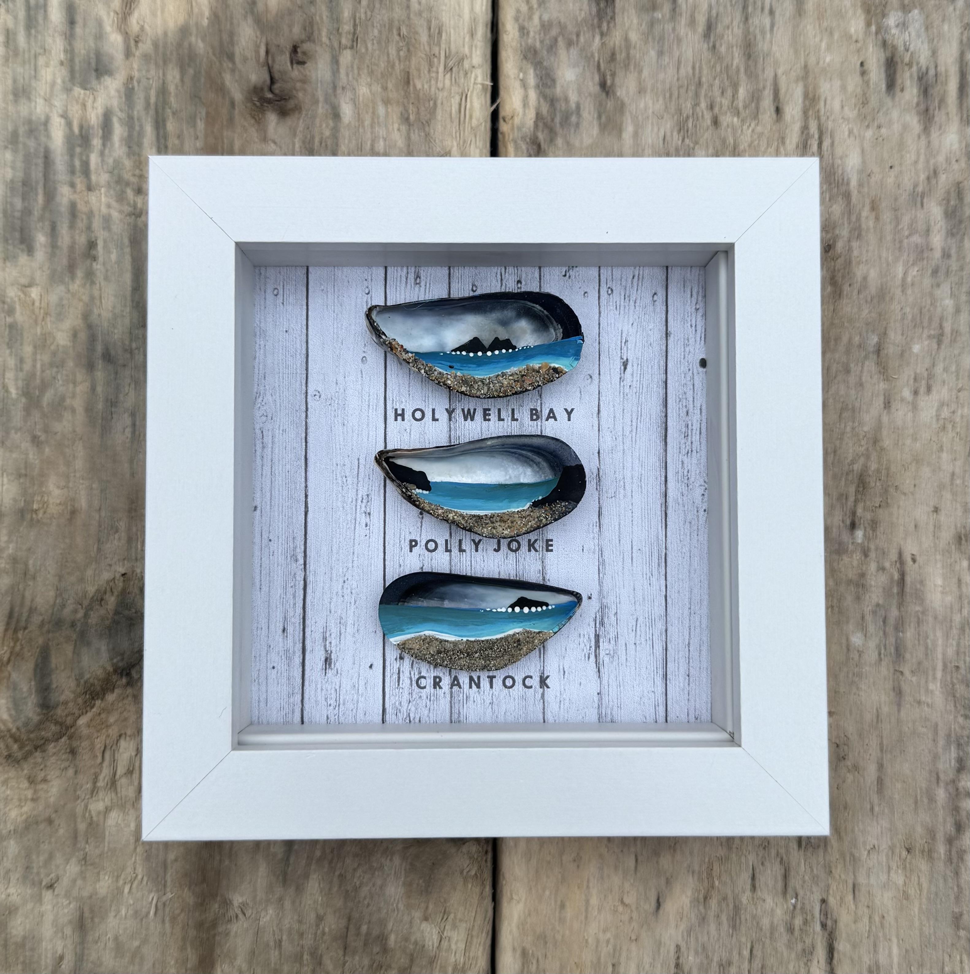 Three Beach Mussel Frames 