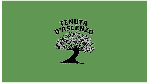 store_logo