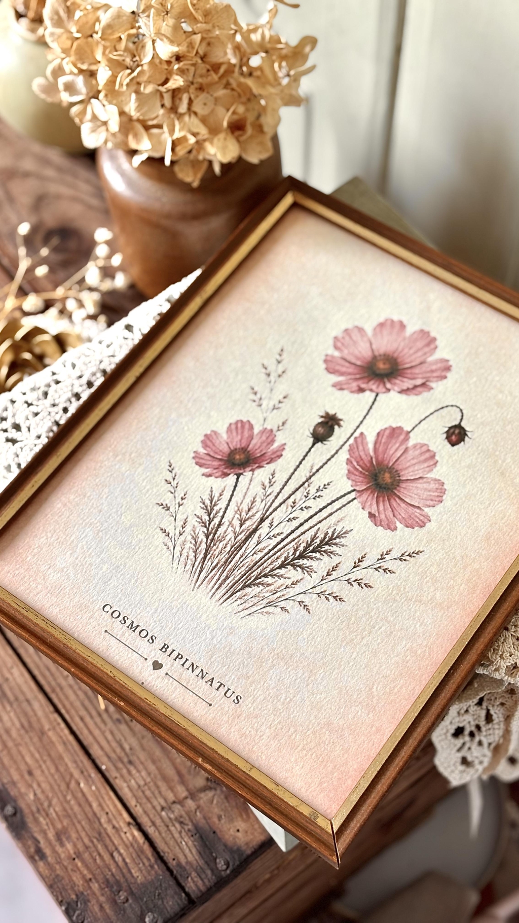 Cadres anciens et illustrations délicates