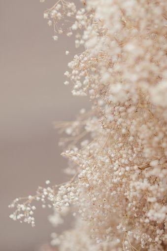 banner_image