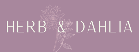 store_logo