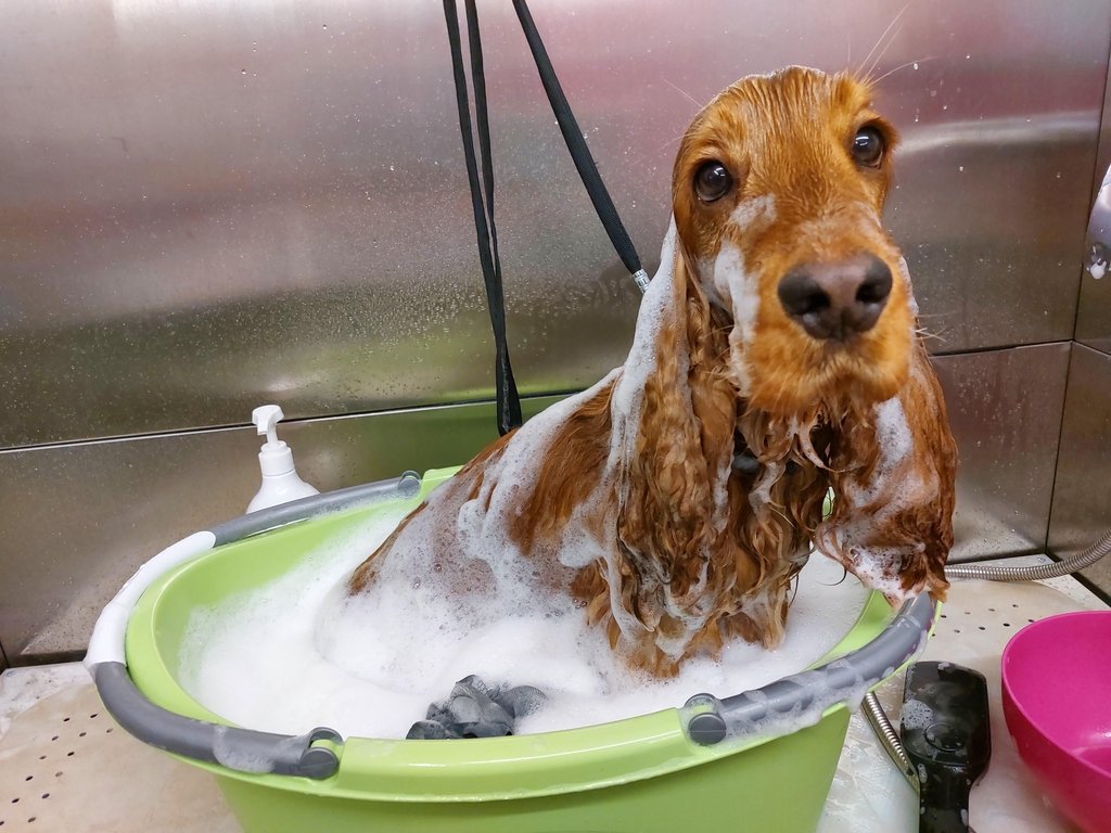 product_list_image_cover