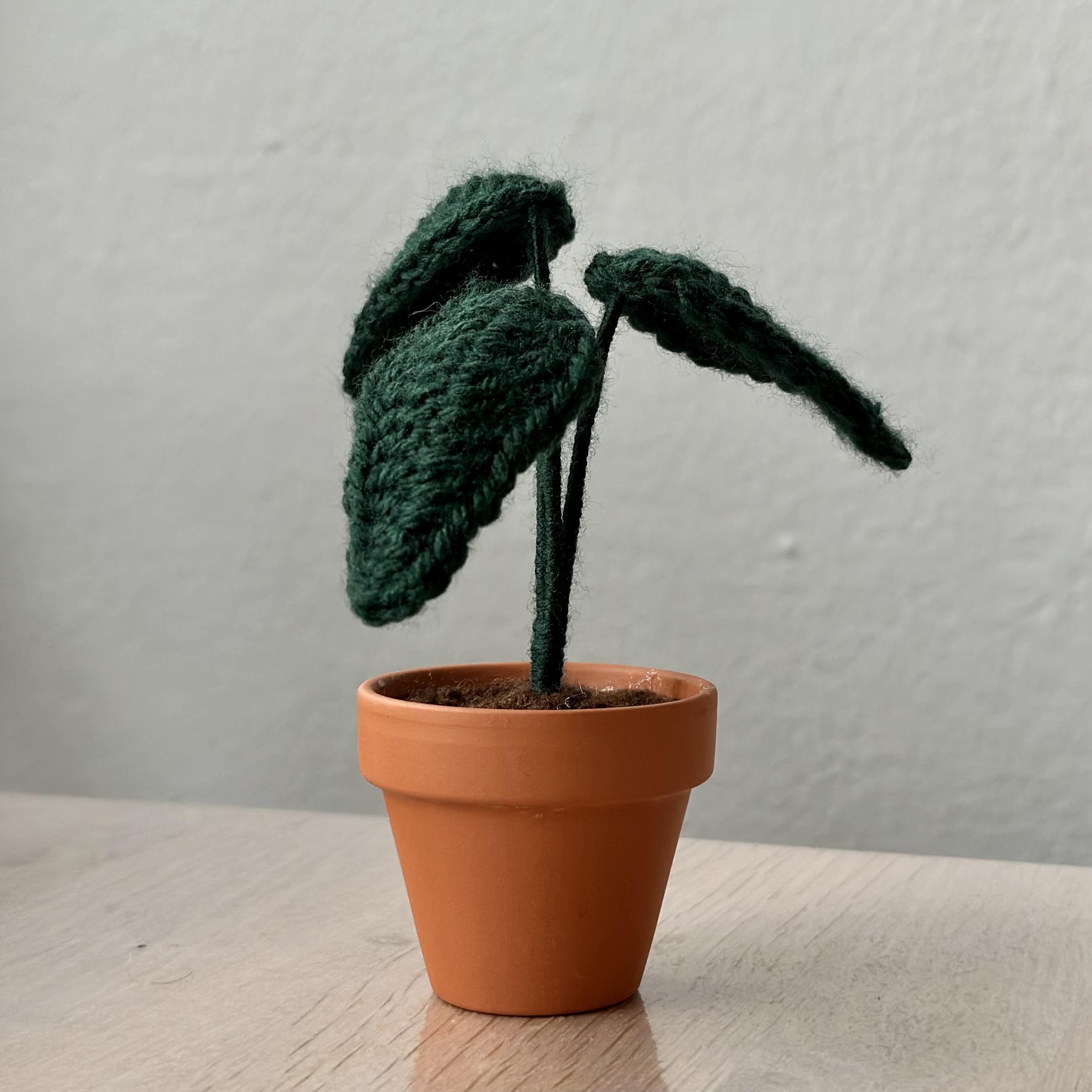 Décorations