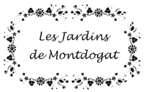 Production et transformation de plantes aromatiques et
médicinales BIO dans le Haut Forez.