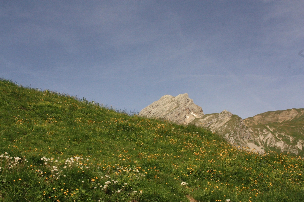 Massage bien-être & Shiatsu assis à Viuz-en-Sallaz