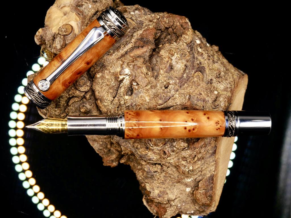 plume helios Racine de Thuya du Maroc