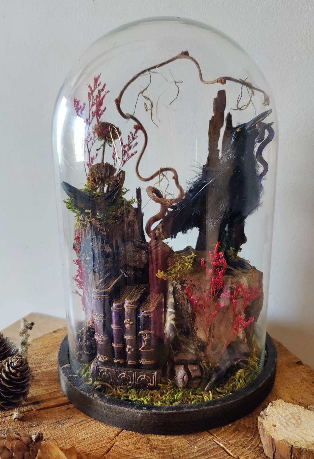 Décorations sous cloche Mystiques et curiosités