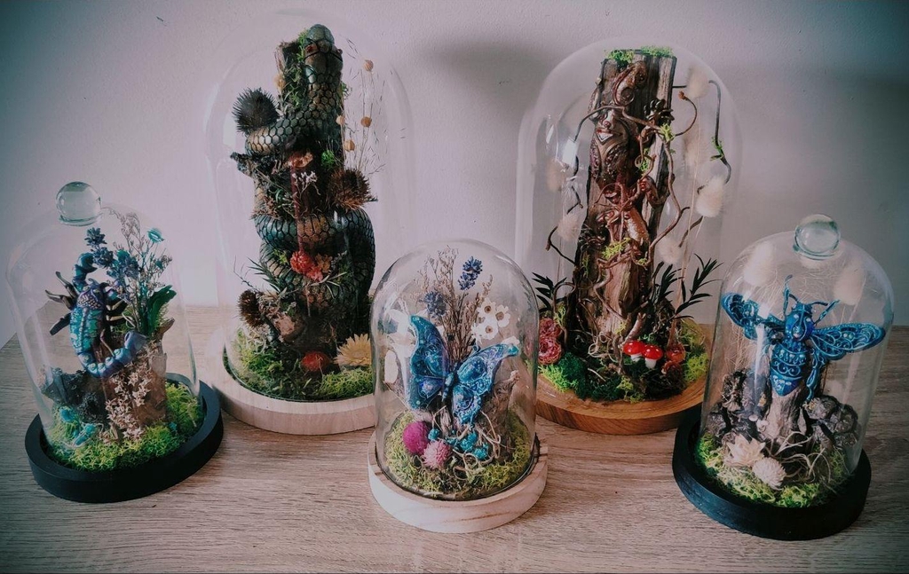 Décoration atypique et curiosités sous cloches.