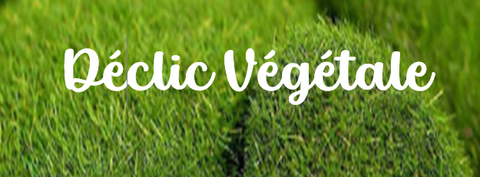 Déclic Végétale, plantes stabilisées pour vous faire plaisir...