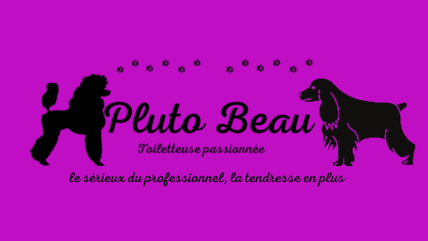 Pluto Beau
Toiletteuse passionnée 
Le sérieux du professionnel,  la tendresse en plus.