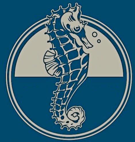 À la découverte de l'océan indien 