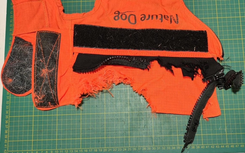 Réparation et entretien gilet de protection chien de chasse