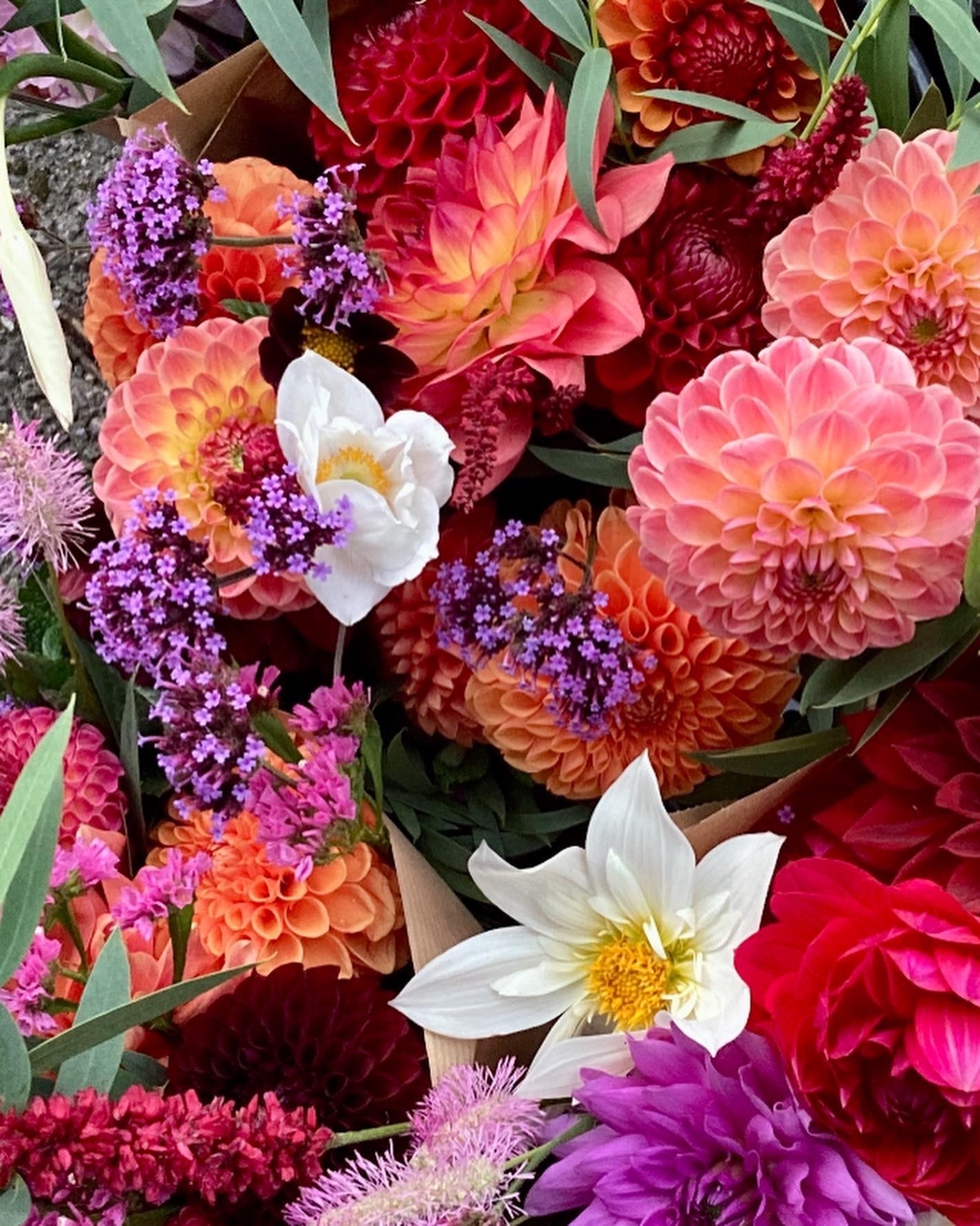 Sustainable locally grown Kerry flowers - dahlias and verbenas
