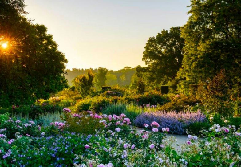 Beautiful, elegant rose garden - the Bowes-Lyon Rose Garden at RHS Garden Wisley