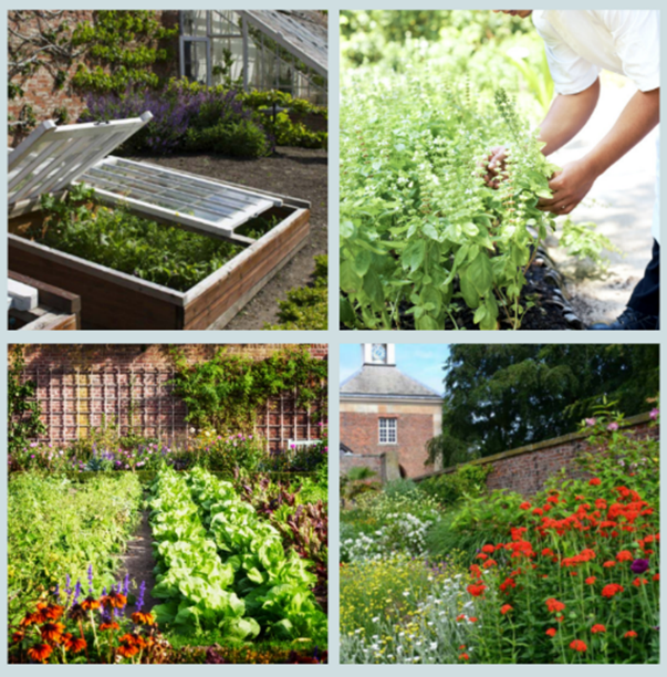 pictures of high quality private and historic gardens, including productive gardens