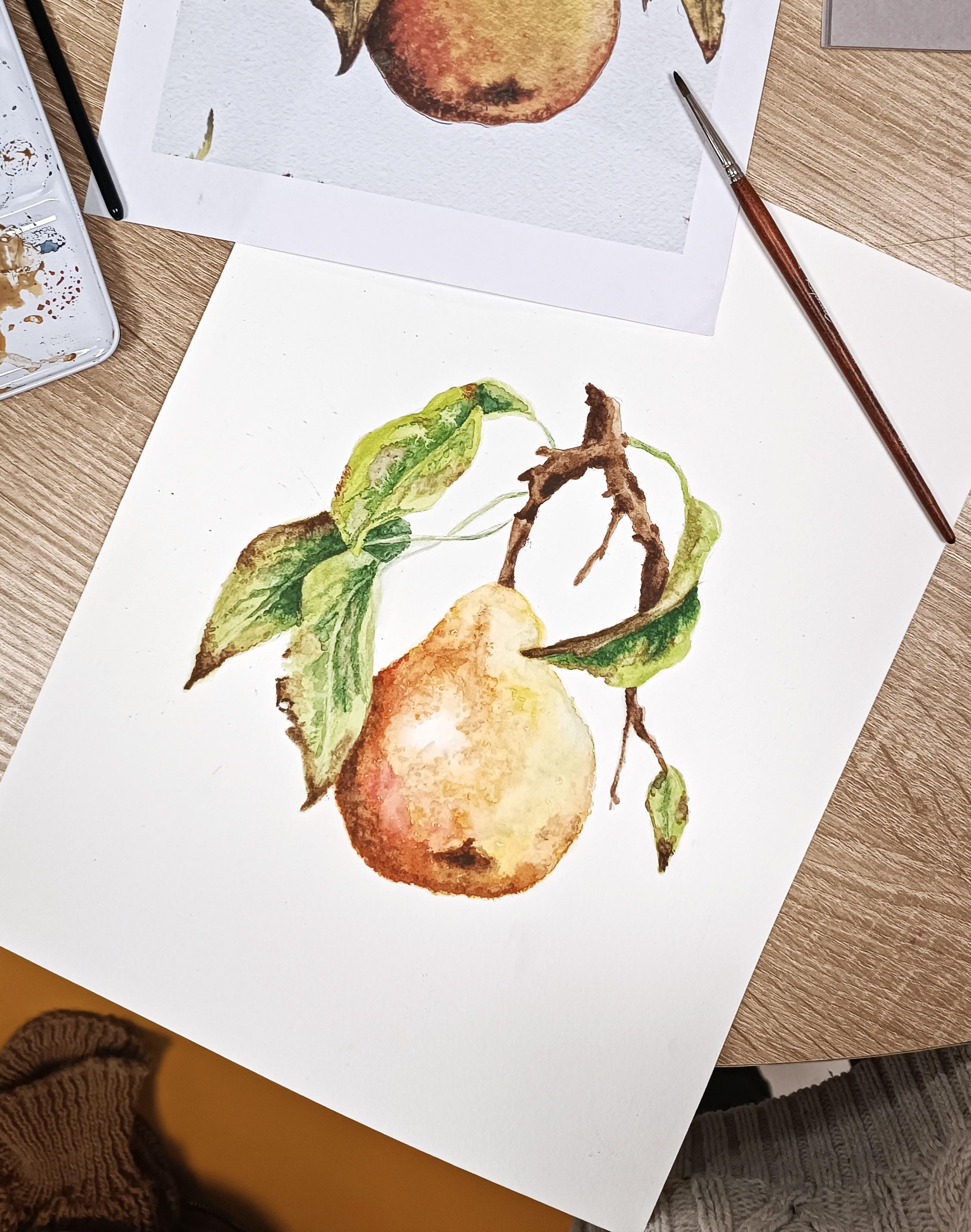 Atelier aquarelle sur Amiens - Ateliers créatif aquarelle fruit à Amiens - Atelier créatif KoWork'art aquarelle - KoWork'art atelier aquarelle pendant les vacances
