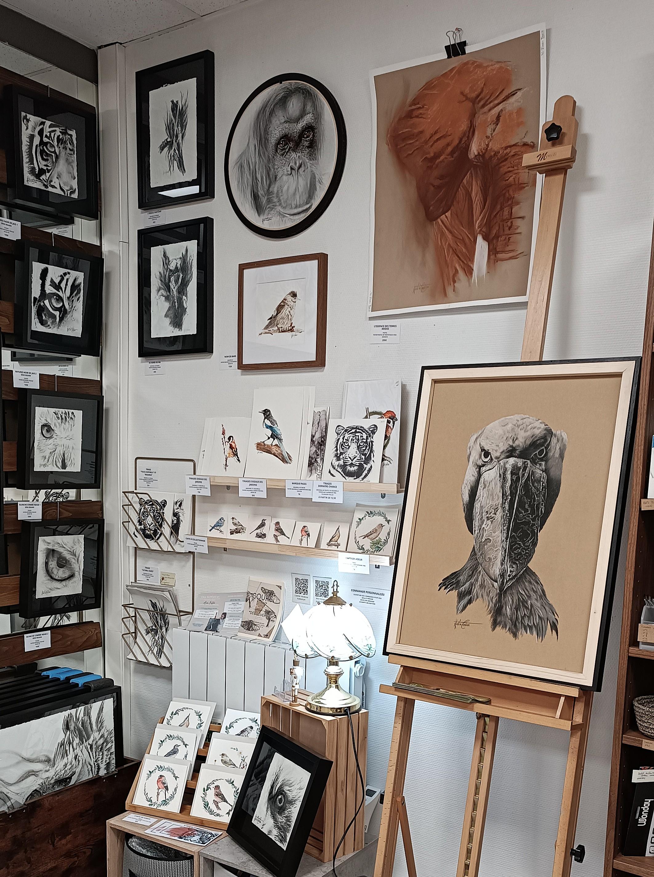 Espace de l'artiste animalier engagée et pour la défense animale. Une belle partie de ses œuvres sont à retrouver chez KoWork'art. Un espace d'expo vente et atelier d'artistes et artisans de la région basée au 70 rue des Jacobins à Amiens.