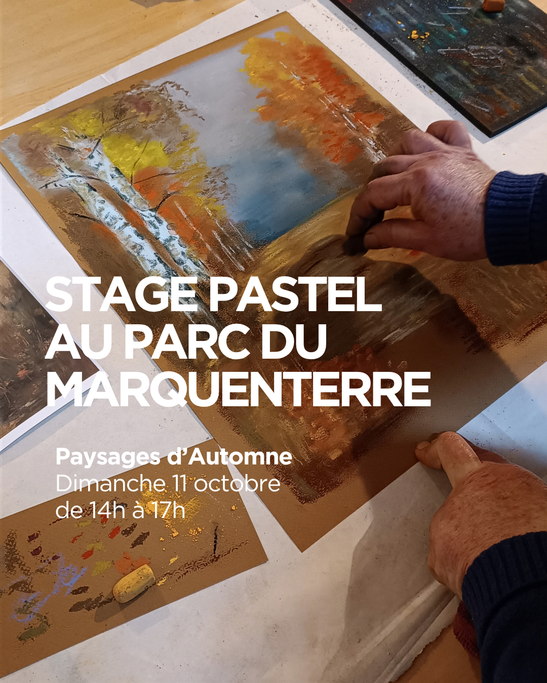 Stage pastel au parc du Marquenterre Justine Kobsch