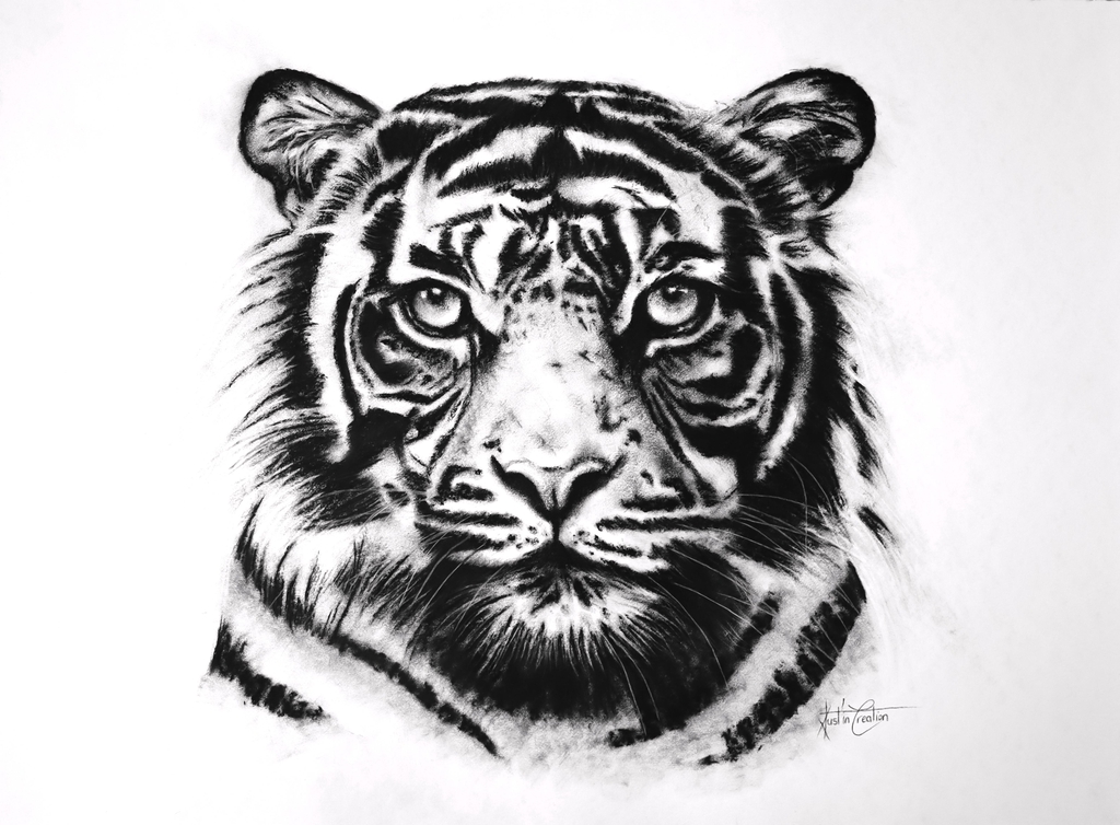 Justine Kobsch créée des portraits animaliers qui ont du sens, des animaux en voie de disparition qui reprennent vie.