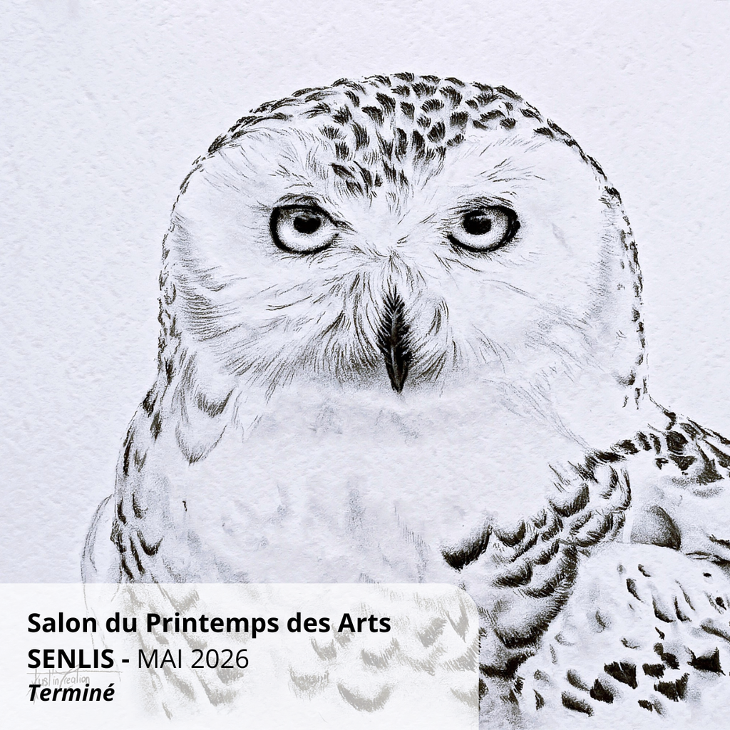 Salon d'artistes peintres et sculpteurs exposés à l'espace Saint Pierre, magnifique ancienne église désacralisée mettant en valeur plusieurs centaines d'œuvres.
DEMONSTRATION de fusain pendant le salon, le 23, 24 et 25 mai de 14h à 18h.