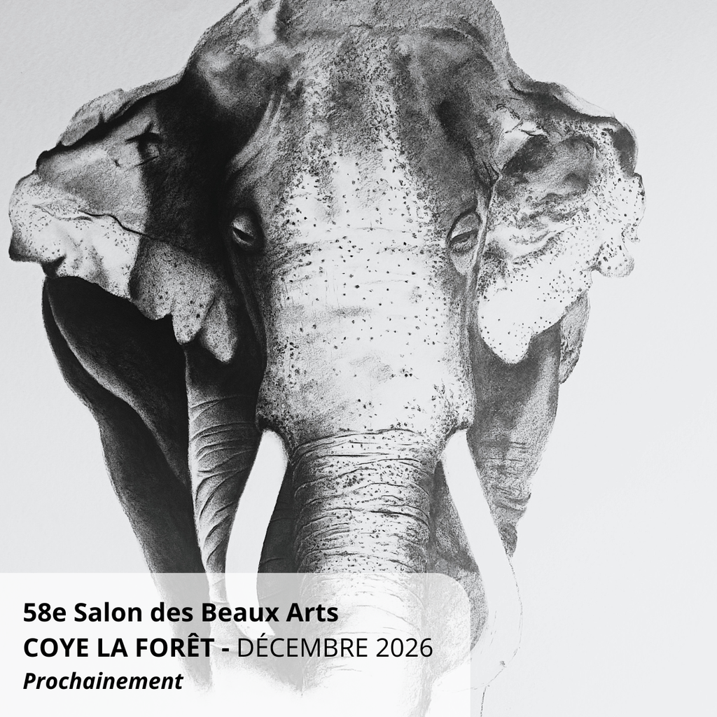 Exposition de Justine Kobsch au 58ème Salon des Beaux Arts de Coye la Forêt. Œuvre au fusain grand format de Justine Kobsch à Coye la Forêt.
