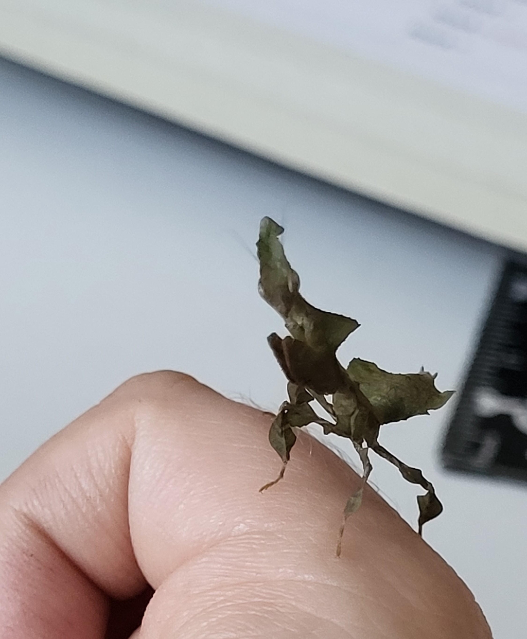 product_list_image_cover